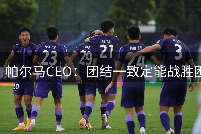 帕尔马CEO：团结一致定能战胜困境